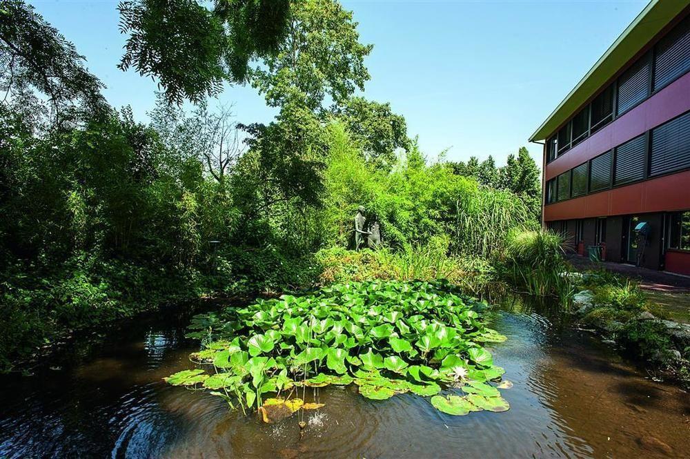 Hotel Coop Tagungszentrum & Hotelpark Im Gruenen Muttenz Esterno foto